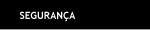 Seguran&ccedil;a